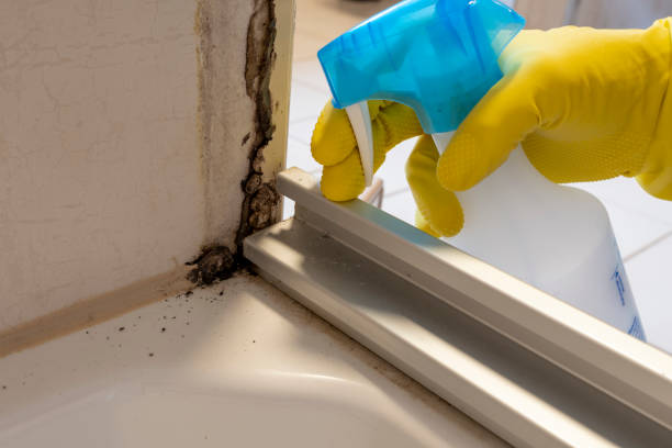 Best Mold Testing  in Aromas, CA